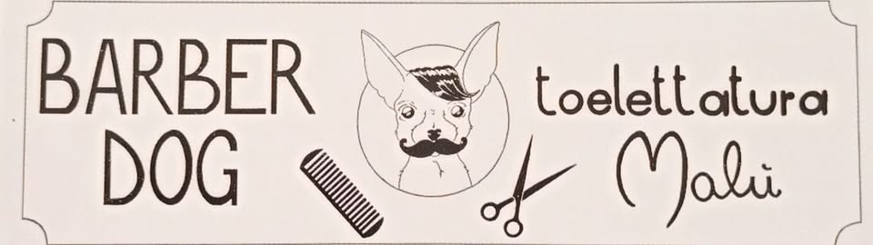 Toelettatura Malù Genova — Toelettatura cani e gatti